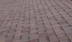 ccc769003537e8eec3e3efd0810a68d9a0a21230-4